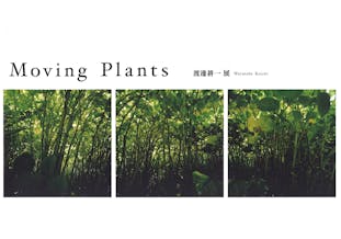 【資生堂ギャラリー】渡邊耕一展　Moving Plants　展覧会カタログ